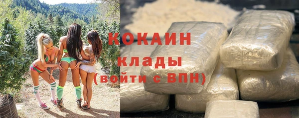 бошки Верея