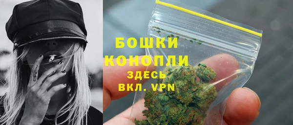 дурь Верхний Тагил