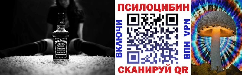 купить наркотики сайты  мега ссылки  Псилоцибиновые грибы ЛСД  Ессентукская 